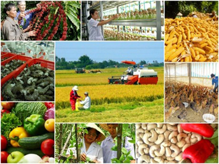 Vai trò của tri thức và doanh nghiệp được đề cao trong việc đổi mới tổ chức chuỗi giá trị sản xuất đến tiêu thụ sản phẩm nông nghiệp.
